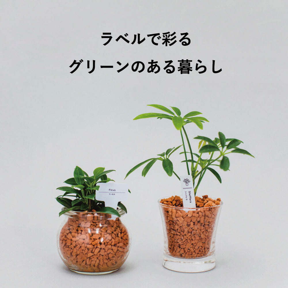 plant_label_c67d452d-afbb-42c2