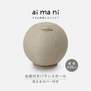 台座付きバランスボール【aimani】