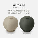 台座付きバランスボール【aimani】