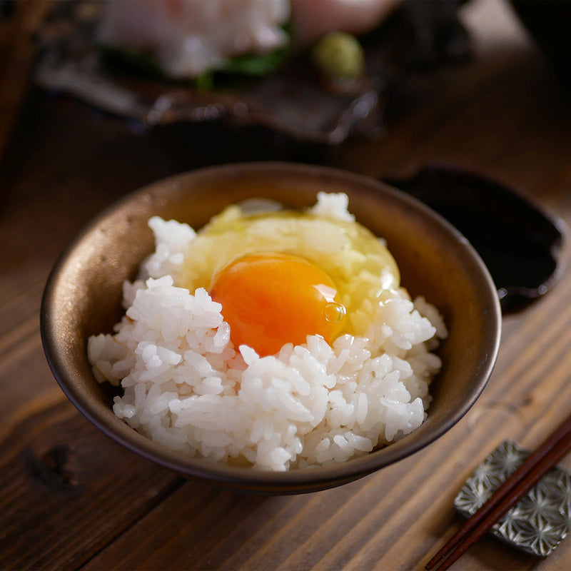 ラドンナ TOFFY HAPPY COLLECTION ミニ炊飯器セット【K-HRC1】