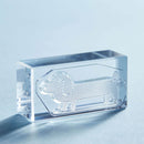 透明スタンプ「氷印」イヌセット