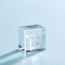 透明スタンプ「氷印」小サイズ シュナウザ－