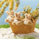 ポーズー ペンポーチ