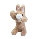 ポーズー ペンポーチ