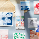 KITTA Special フォト