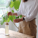 ライフオンプロダクツ mercyu Nordic collection リードディフューザーセット【MRU-80-CL/CV】