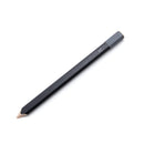 電子メモパッド ブギーボードBB-15用スタイラス 【取り寄せ品】